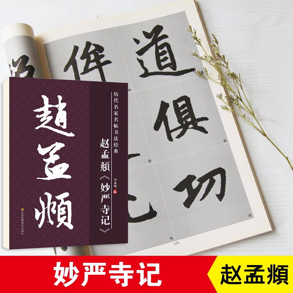 雅艺堂毛笔书法字帖赵孟頫妙严寺记原帖原版正版简体旁注历代名家名帖书法经典放大版老年成人书法爱好者学生临帖古帖