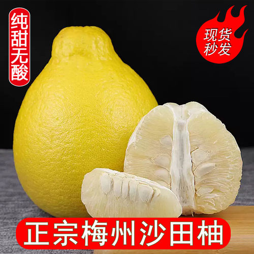 广东梅州沙田柚精品老树柚