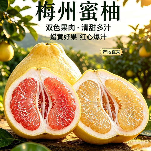【双拼红白蜜柚】梅州红蜜柚白柚新鲜现摘孕妇水果当季大红白肉柚