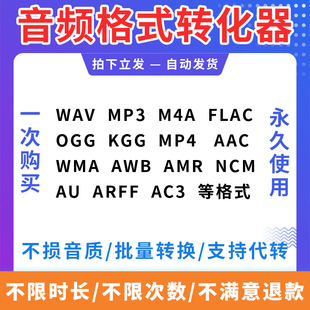 音频视频格式转换ncm flac kgm ogg m4a kgg mp4转mp3音乐转换器