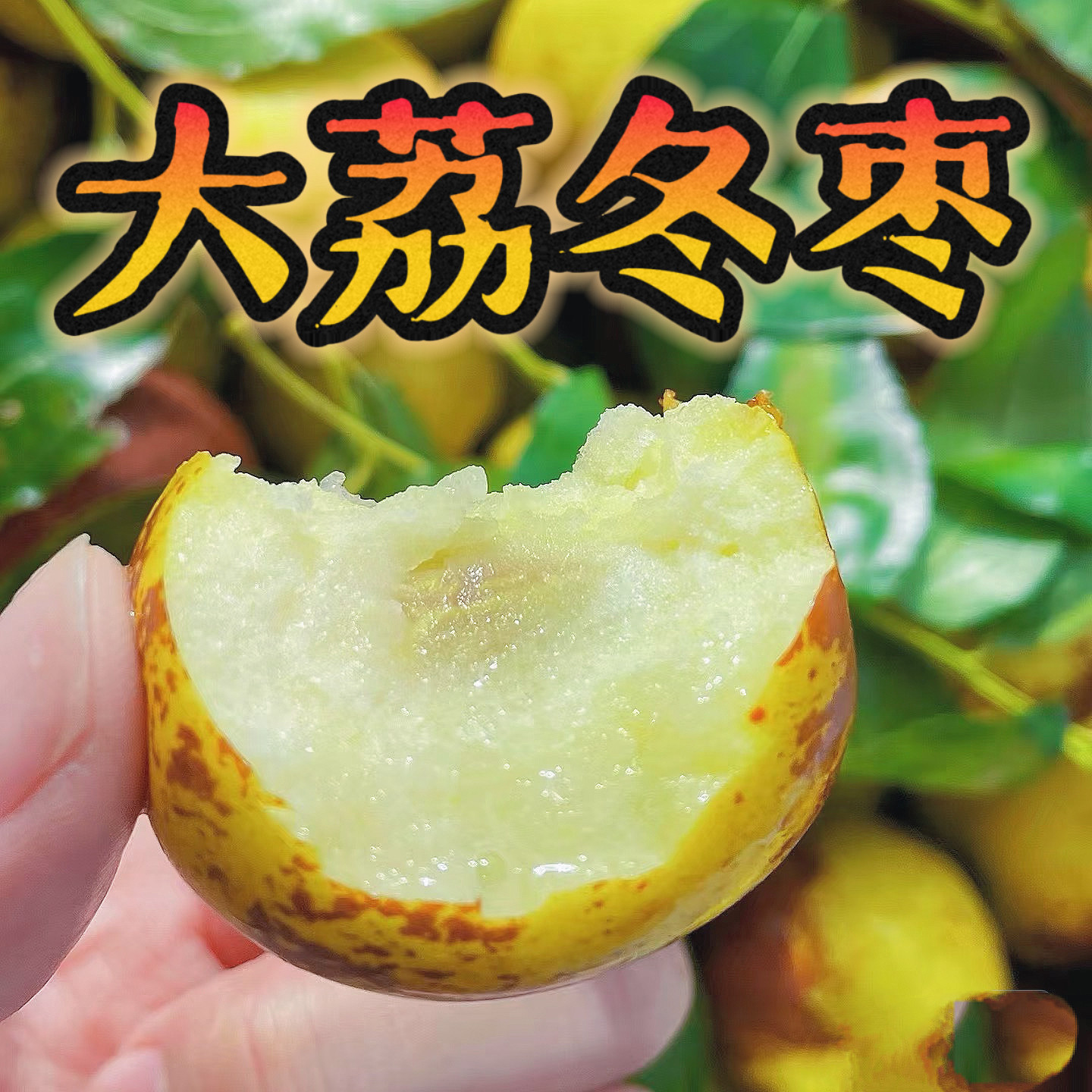 大荔冬枣新鲜水果陕西特产当即应枣