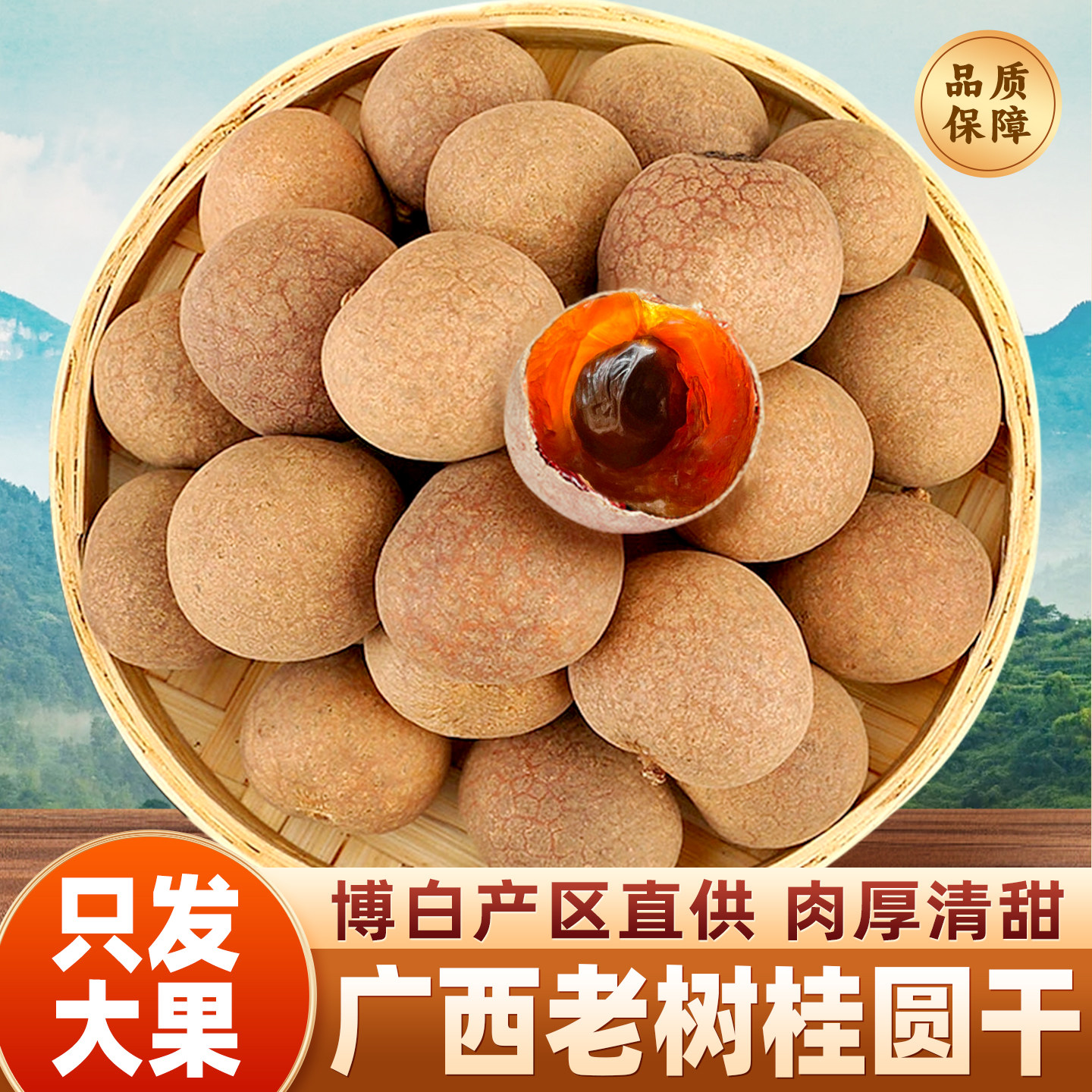 桂圆干大果500g广西博白特产2025年新货带壳龙眼干泡茶官方旗舰店