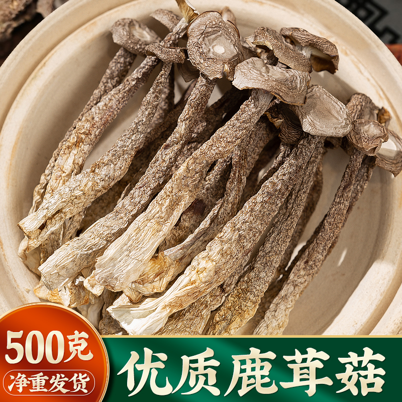 福建古田特产鹿茸菌500g