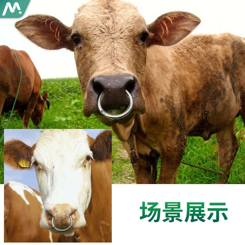 金属牛鼻环牛鼻栓牛鼻穿孔钳牛鼻圈牛鼻夹子牛保定器牵引钳