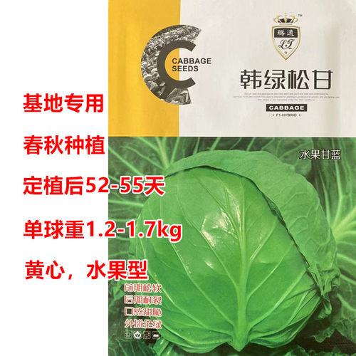 韩绿松甘甘蓝种子水果甘蓝高产