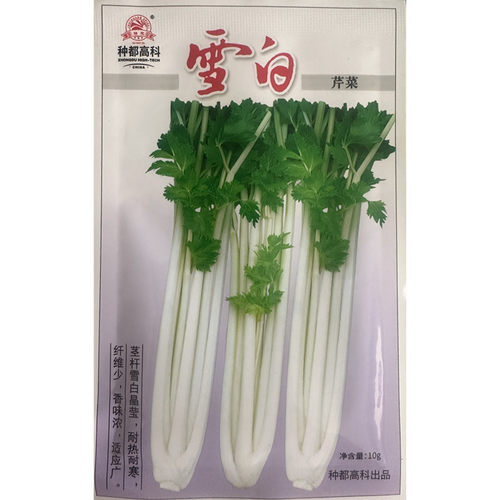 雪白芹菜种子耐热耐寒脆嫩香芹