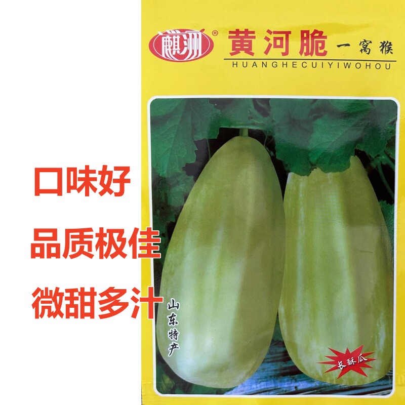 黄河脆一窝猴脆瓜种子八棱脆酥瓜清脆微甜春秋种植早熟汁多微甜