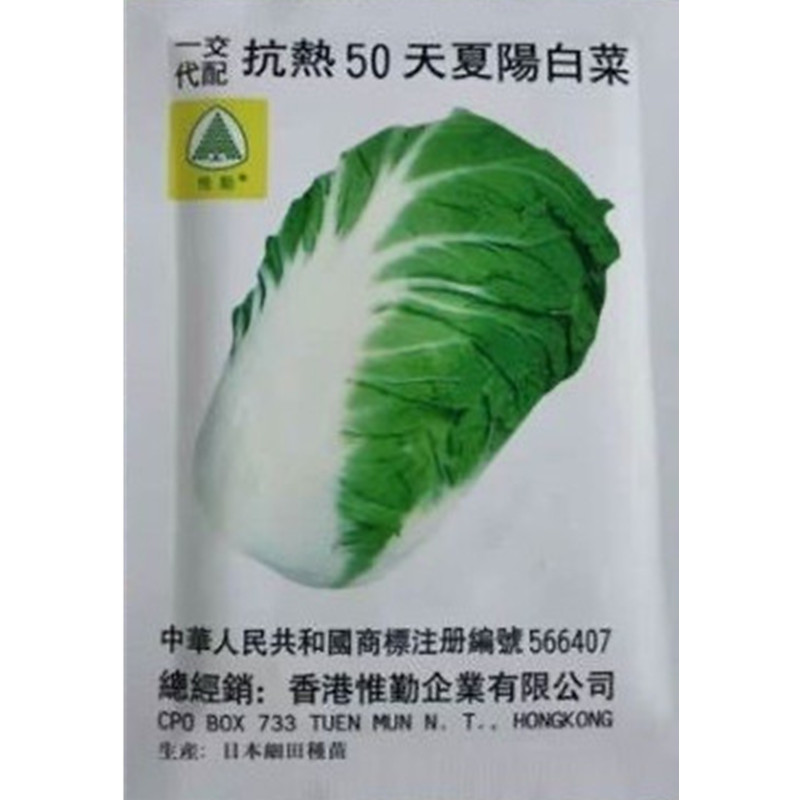 夏阳50白菜抗热白菜种子