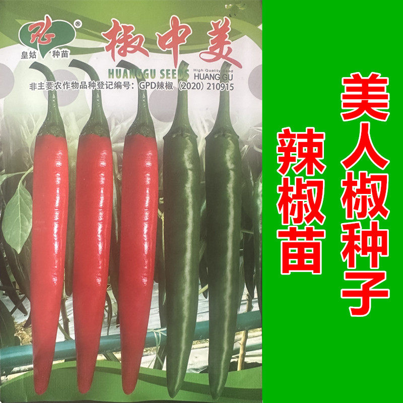 椒中美早熟美人椒种子果肉厚