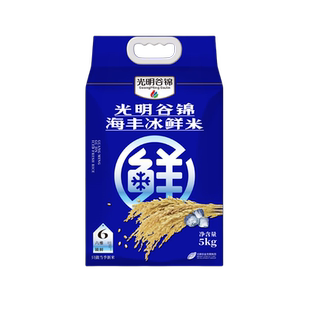 【2026当月现磨】光明谷锦海丰冰鲜米5kg（真空包装）