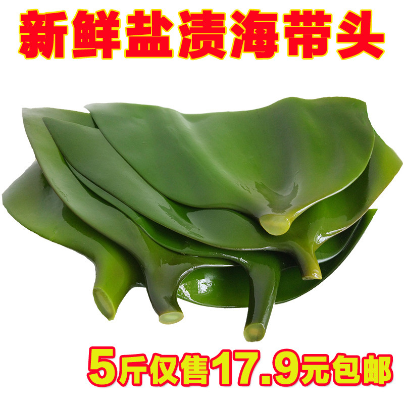 海带根新鲜5斤盐渍海带片厚炖排骨火锅凉拌中短头荣成嫩海带头