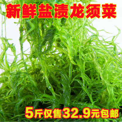 龙须菜盐渍新鲜5斤装海发菜凉拌