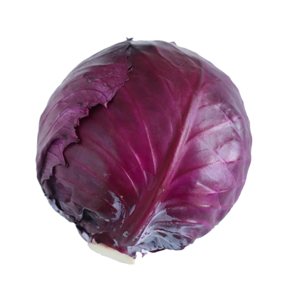 密之蓝天农家种植新鲜卷心沙拉