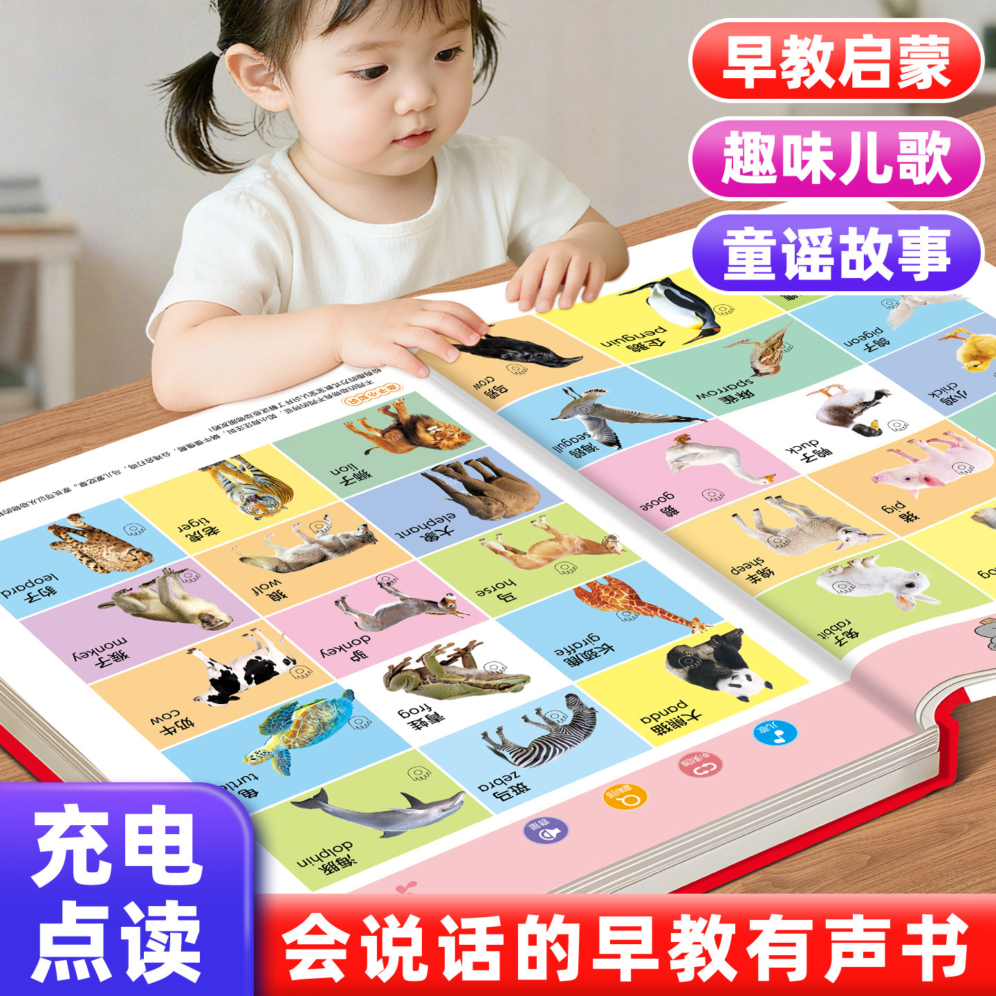 会说话的早教有声点读发声书图片