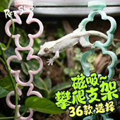 R属睫角守宫攀爬棒爬宠饲养箱磁吸花朵造景树栖悬挂攀爬支架云梯