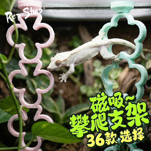 R属睫角守宫攀爬棒爬宠饲养箱磁吸花朵造景树栖悬挂攀爬支架云梯