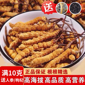 2025冬虫夏草正品 头期冬虫草正宗虫草王整草干货礼盒装 非西藏那曲