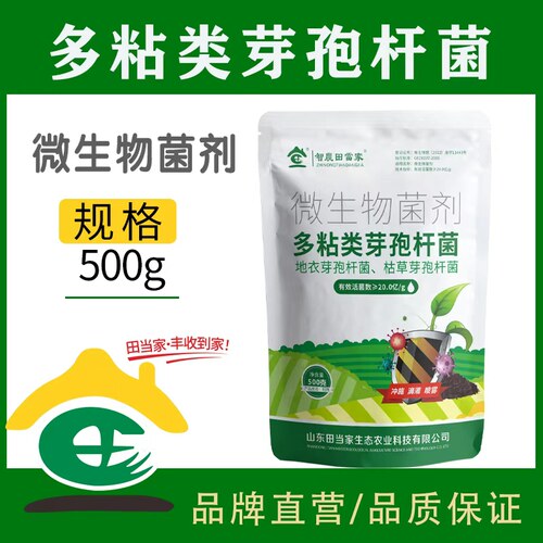 田当家多粘类芽孢杆菌育苗生根