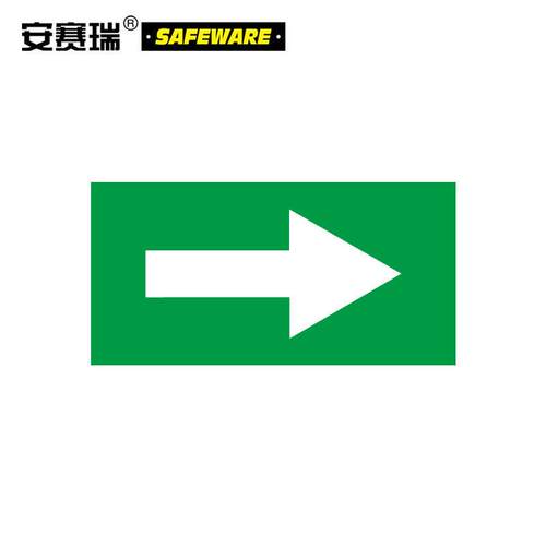 安赛瑞管道流向箭头标识(绿/白)5片装50100mm箭头标贴15418