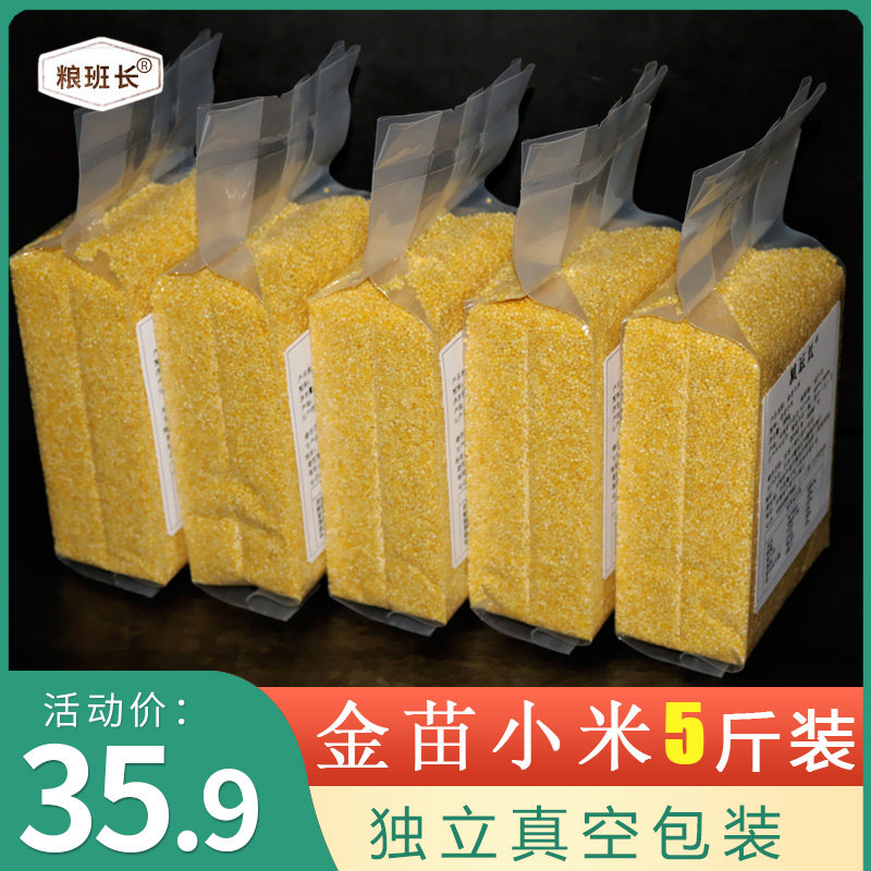 粮班长黄小米5斤杂粮赤峰金苗小米敖汉小黄米五谷月子米养胃小米
