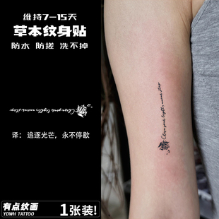 永不停歇 英文字母草本纹身贴女手指小图防水持久高级感新款贴纸
