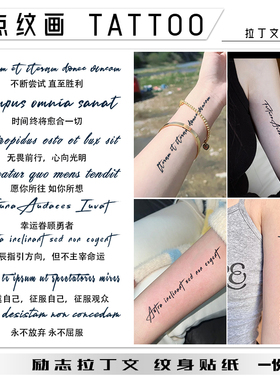 8张 励志拉丁文草本纹身贴防水男女持久2025新款英文半永久tattoo