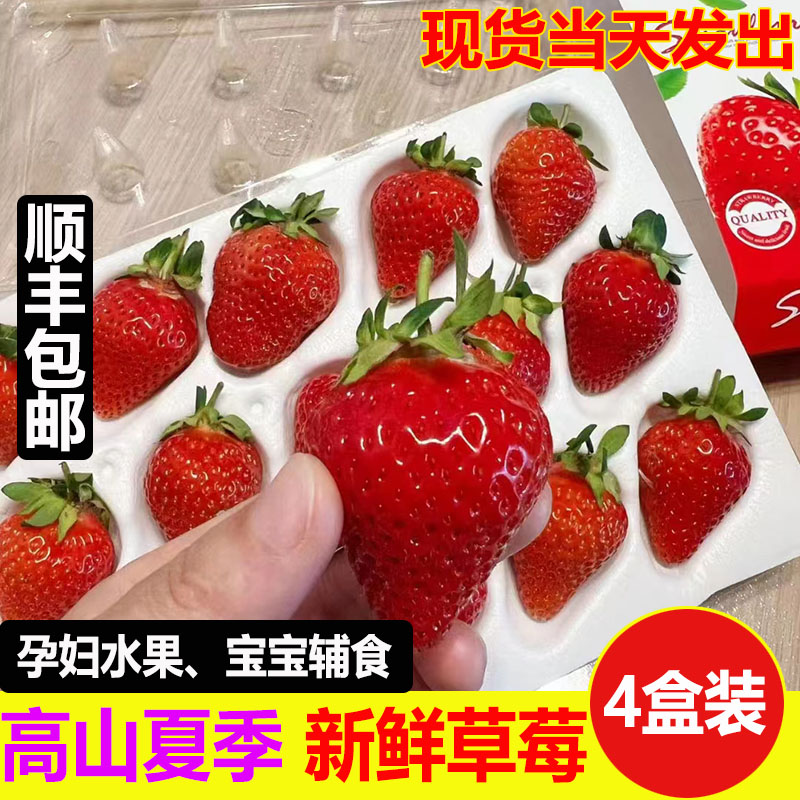 高山紅顏草莓酸甜反季節(jié)新鮮孕婦水果順豐包郵