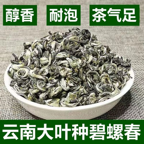 云南碧螺春2025年明前绿茶春茶