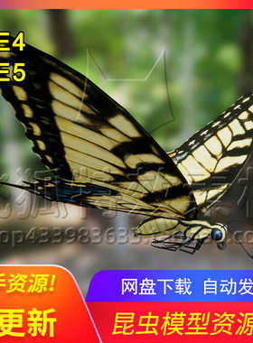 [UE5昆虫甲虫蝴蝶萤火虫蚂蚁生物] Insect Pack 包更新