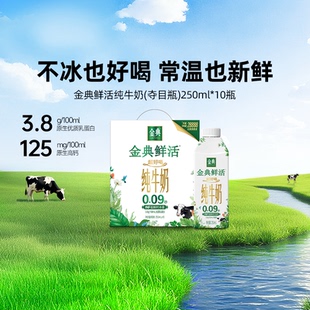 10学生早餐礼赠 250ml 2月 夺目瓶 金典旗舰店金典鲜活纯牛奶