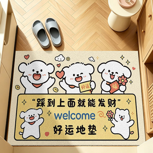 入户门地垫2026新款耐脏防滑进门