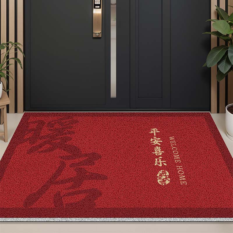 入户门丝圈地垫2025新款耐脏防滑