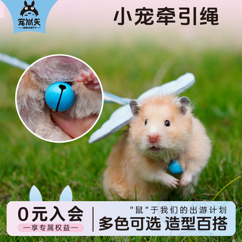 仓鼠花枝鼠蜜袋鼯牵引绳溜鼠绳金丝熊绳锻炼小宠物刺猬绳子用品,宠物/宠物食品及用品,玩具/造景装饰,淘宝优惠券,粉丝福利购,淘宝优惠卷