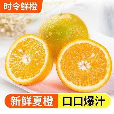 江西新鲜脐橙9斤应当季水果橙子手剥果冻橙子冰糖赣南甜橙大果10