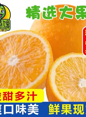 埃及橙南非进口橙子脐新鲜水果