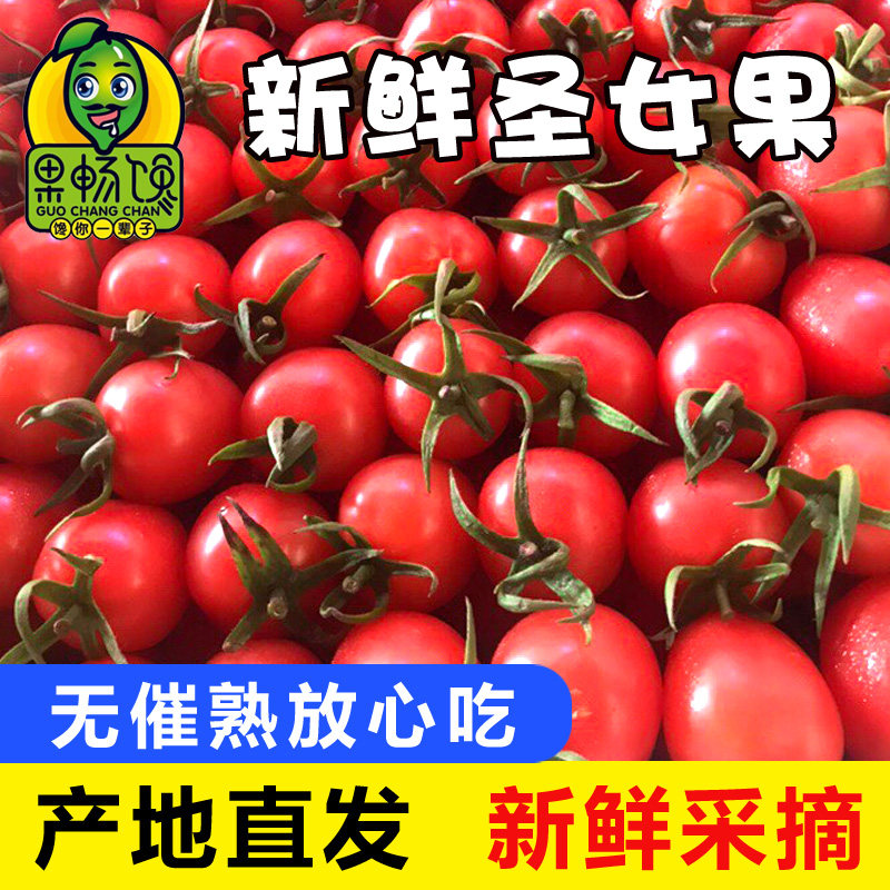 圣女果新鲜水果包邮5斤西红柿农家自然熟孕妇蔬菜生吃千禧小番茄