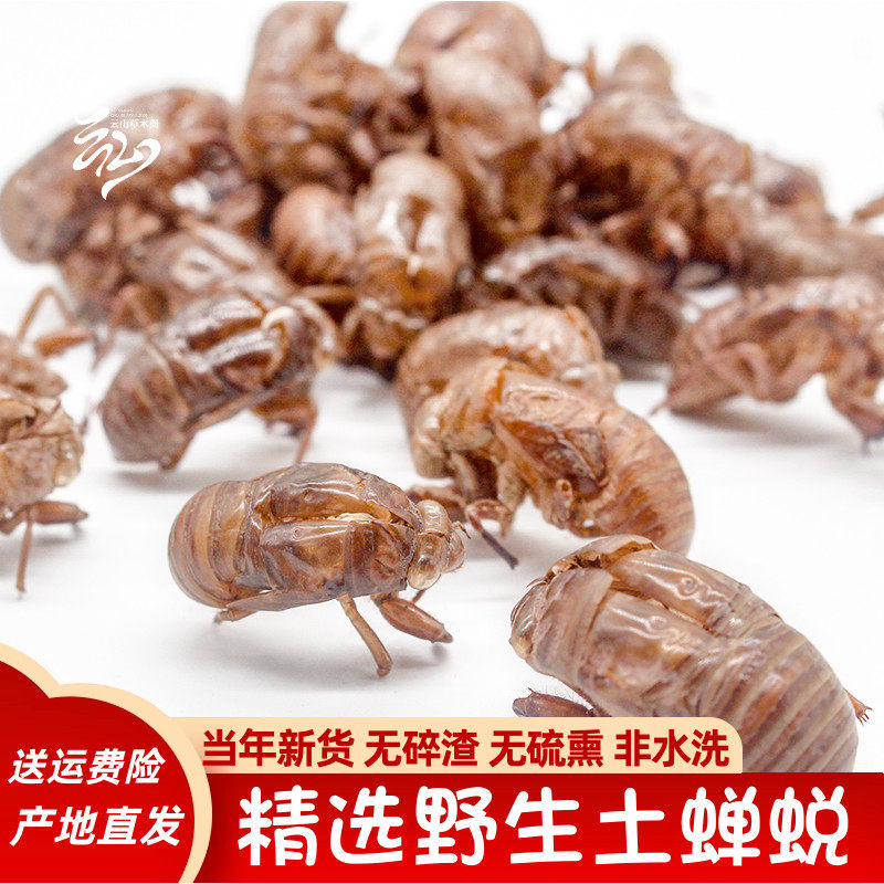 四川深山野生蝉蜕中药材蝉衣知了皮毛猴材料50克精选正品包邮