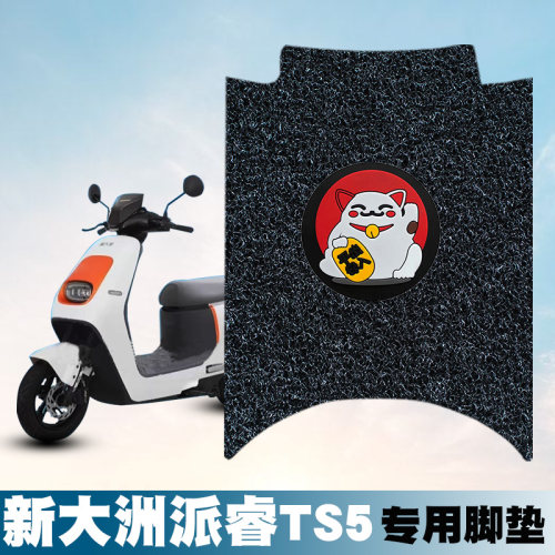 适用新大洲派睿TS5丝圈脚垫