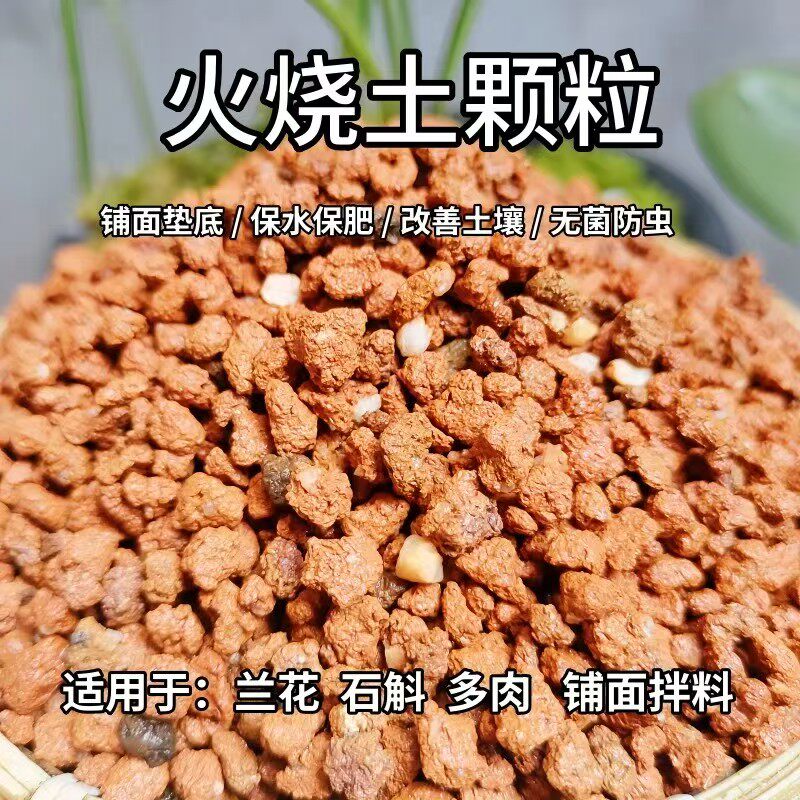 火烧土颗粒兰花专用土红兰石多肉花卉盆景铺面透气垫底兰花植料