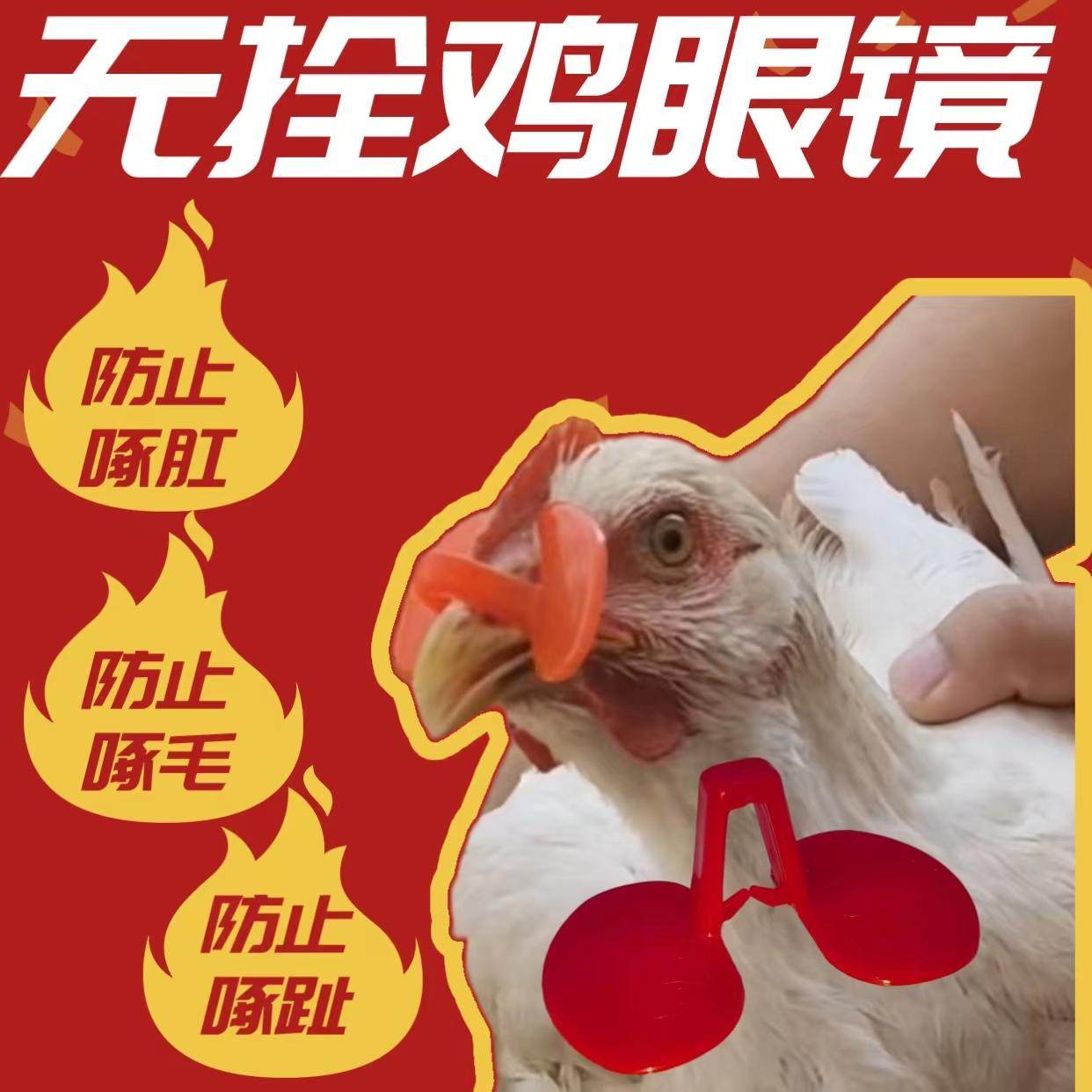鸡用眼镜无栓夹式鸡眼镜防啄打架无栓新型不穿鼻孔小鸡中号鸡眼罩,畜牧/养殖物资,畜牧/养殖器械,淘宝优惠券,粉丝福利购,淘宝优惠卷