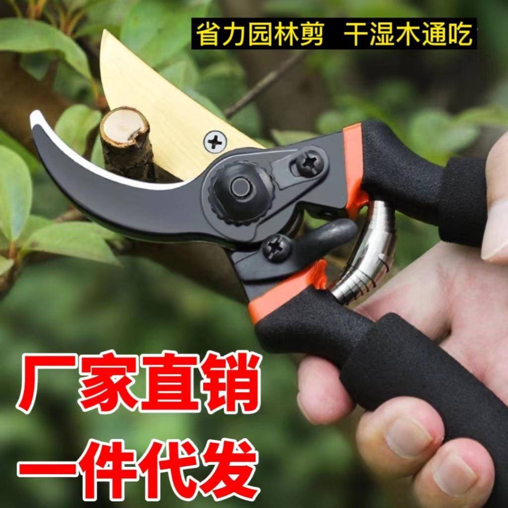 进口钢材中国制作强力园艺剪不锈钢省力修剪枝果树粗枝树枝剪子