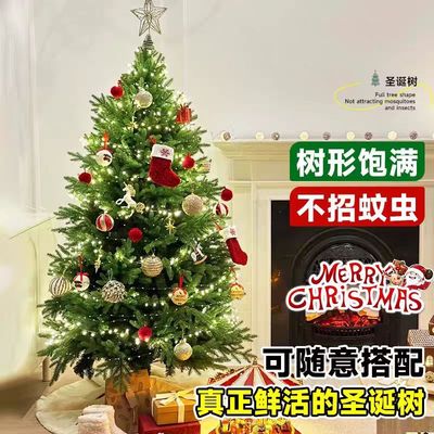 圣诞树家用diy摆件2025新款客厅大型真树高级圣诞节装饰场景布置