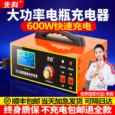 先科汽车电瓶充电器12V24V充电机