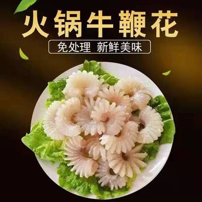 牛鞭花冷冻新鲜菊花牛鞭花火锅食材商用半成品酒店饭店餐饮食材