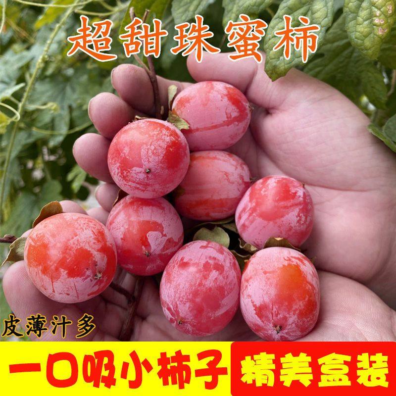 柿子新鲜野生迷你小柿子一口吸爆蜜小火罐吊红水果软甜柿非火晶