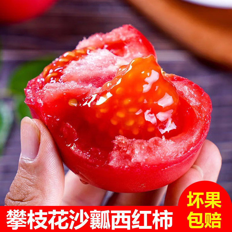攀枝花露天沙瓤番茄生吃水果蔬菜西红柿新鲜自然熟