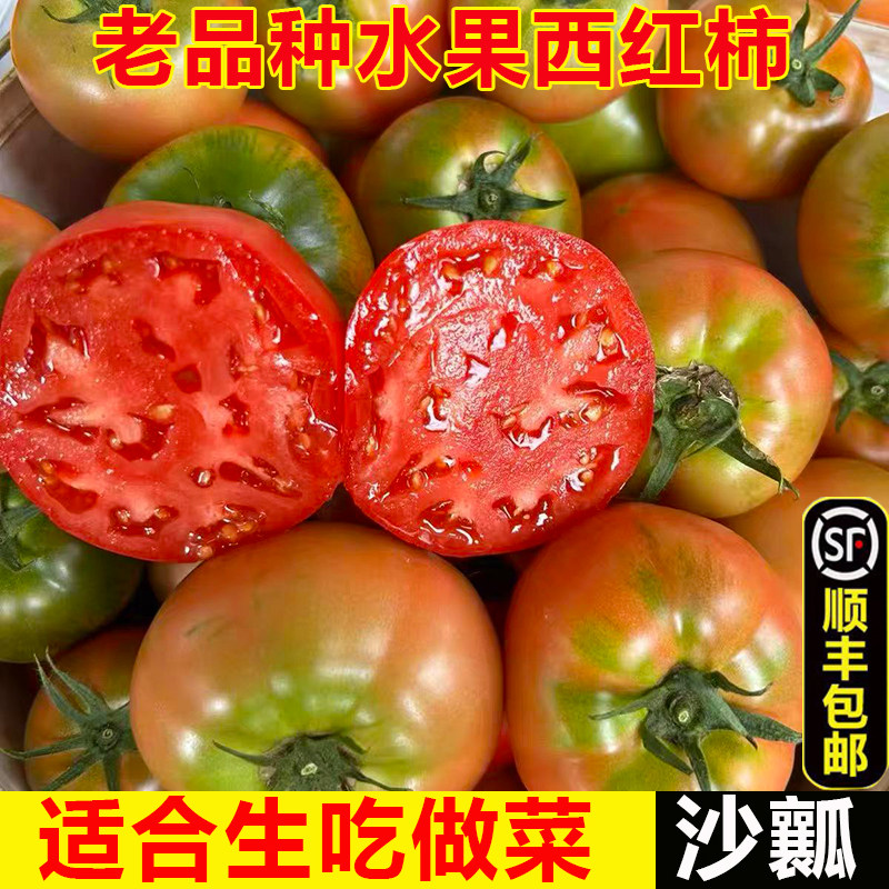 （京东/顺丰）老品种生吃水果西红柿沙瓤番茄5斤