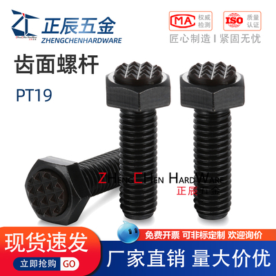 PT19外六角齿面形定位螺杆PTC2