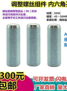 ANB3 4 5 6 8 10 12 16 20内六角孔型调整螺栓 细牙型PAS12/TBD21