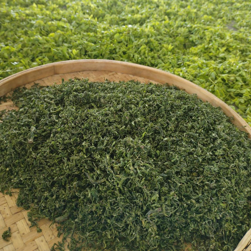 今年新茶酸枣芽子茶正宗茶香浓郁坡上山枣嫩芽非特级新货好喝清甜